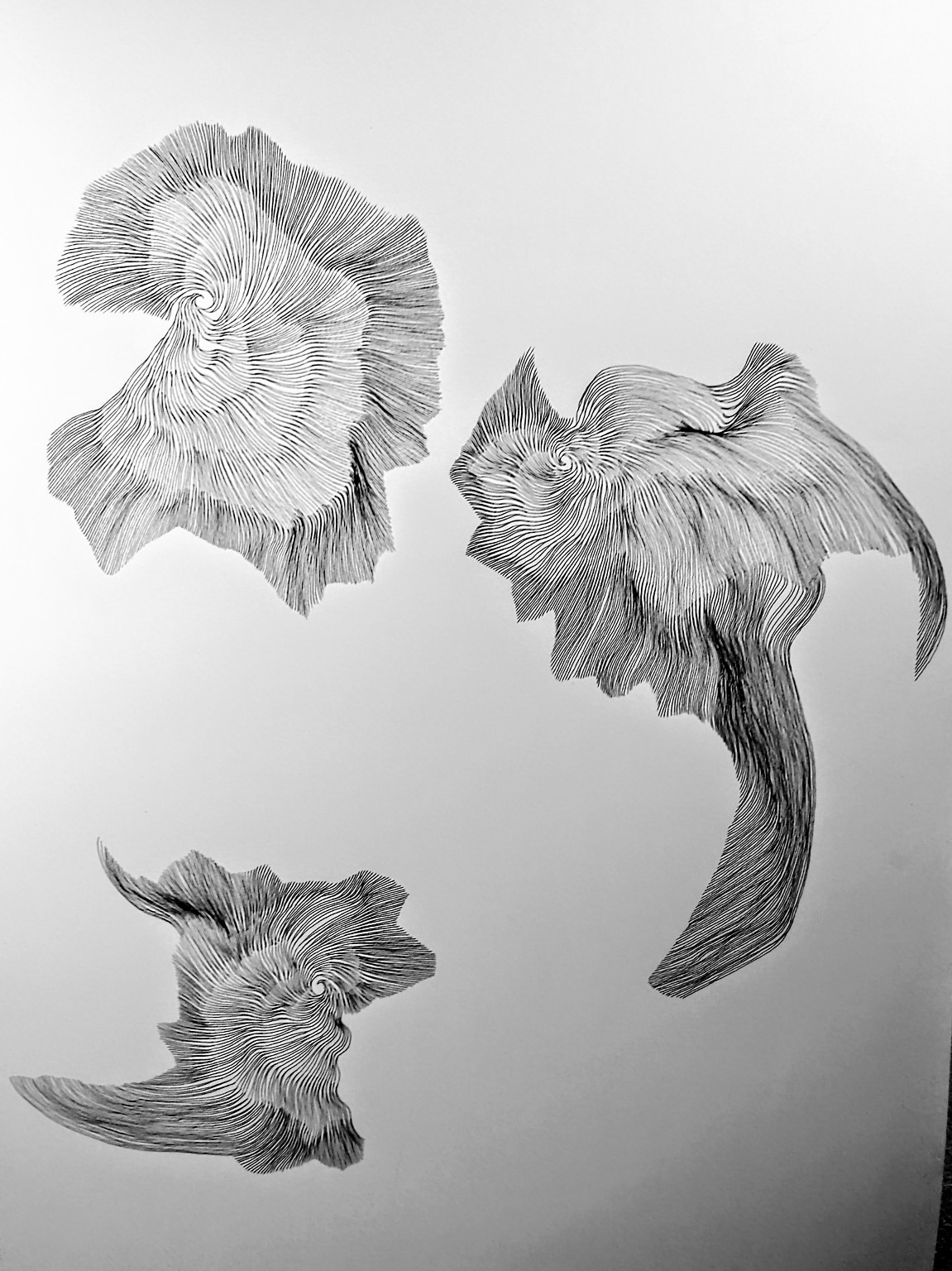 Dreifache Linienformation auf A2, Geisterhafte Strukturen aus feinen Fineliner-Linien